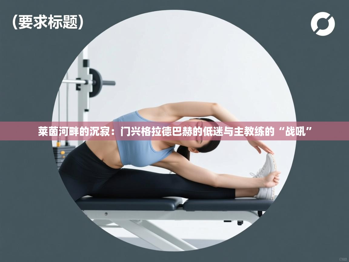 莱茵河畔的沉寂：门兴格拉德巴赫的低迷与主教练的“战吼”  第1张